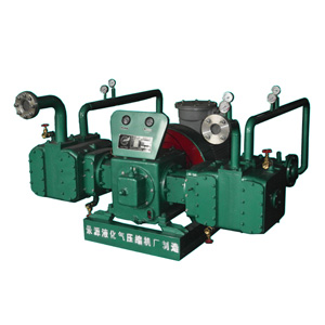 2DG系列特種氣體壓縮機(jī)